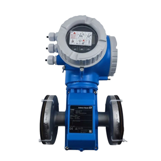 Электромагнитный расходомер Endress+Hauser Proline Promag P 300 E+H Proline Ultrasonic Digital OEM